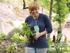 planting trees 2