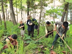 planting trees 4