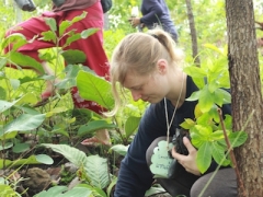 planting trees 5