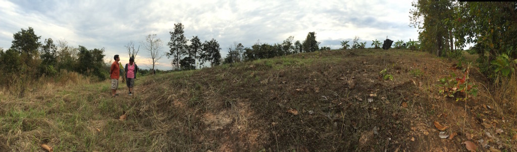degraded land
